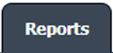 Report